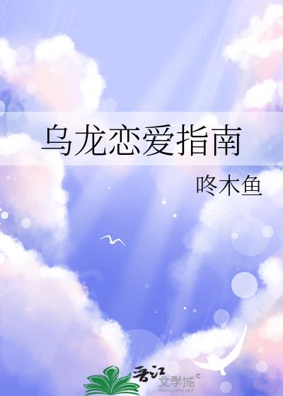 乌龙恋爱指南小说封面