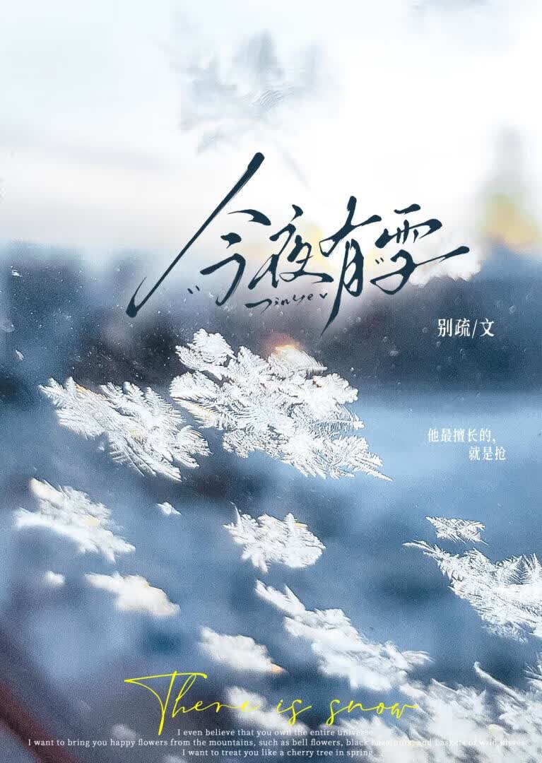 今夜有雪小说封面
