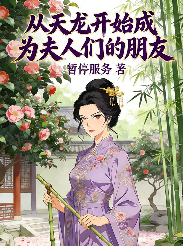 从天龙开始成为夫人们的朋友小说封面