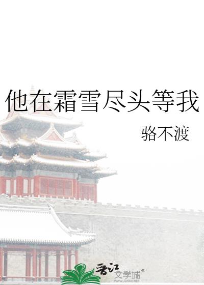 他在霜雪尽头等我小说封面