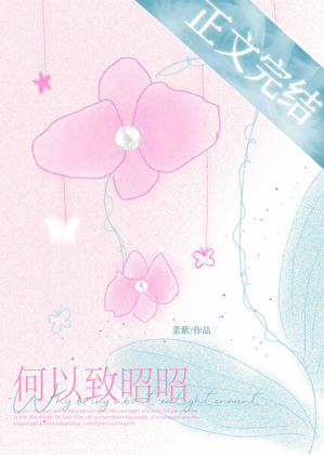 何以致昭昭小说封面
