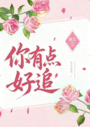 你有点好追小说封面