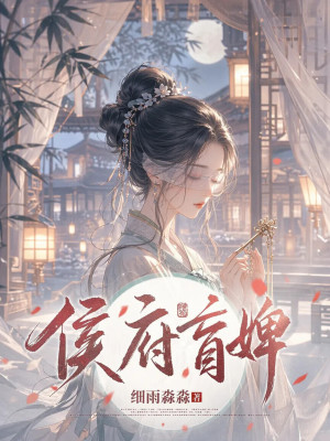 侯府盲婢小说封面