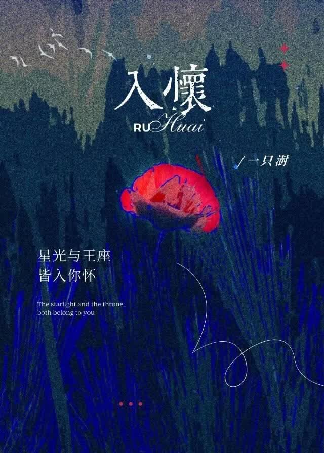 入怀小说封面