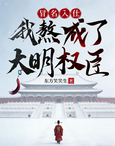 冒名入仕，我熬成了大明权臣小说封面