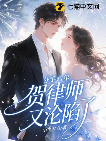 分手六年，贺律师又沦陷了小说封面
