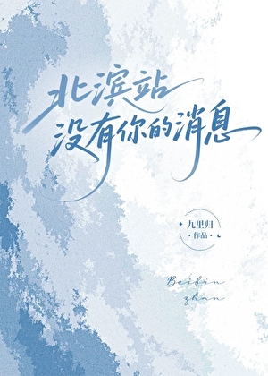 北滨站没有你的消息小说封面