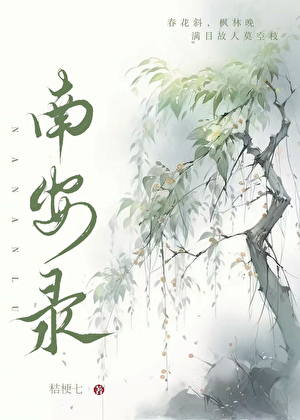 南安录小说封面