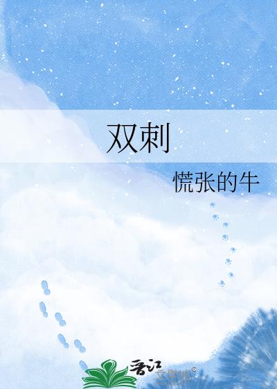 双刺小说封面