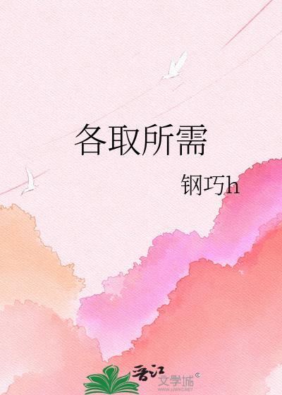 各取所需小说封面