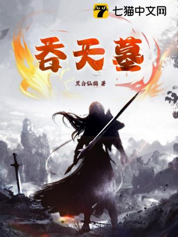 吞天墓小说封面
