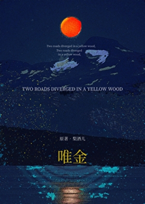 唯金小说封面