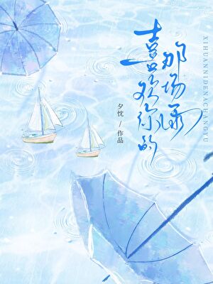 喜欢你的那场雨小说封面