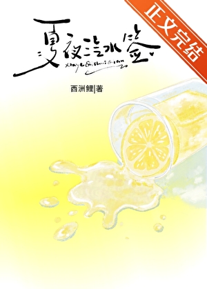 夏夜汽水签小说封面