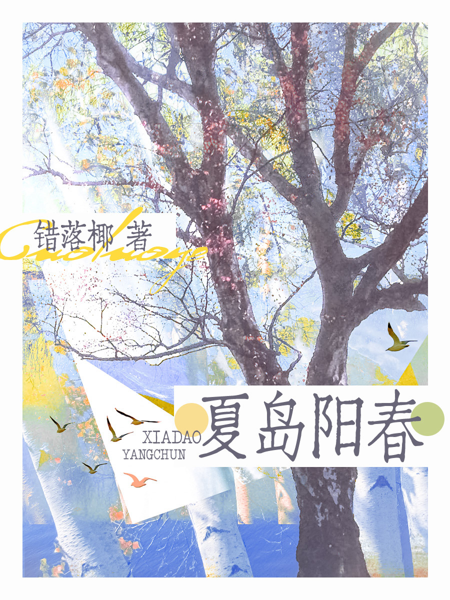 夏岛阳春小说封面