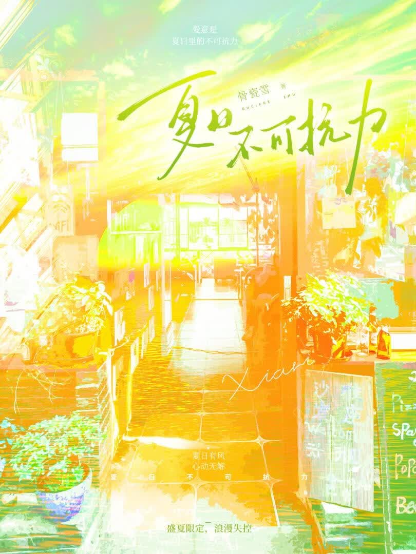 夏日不可抗力小说封面
