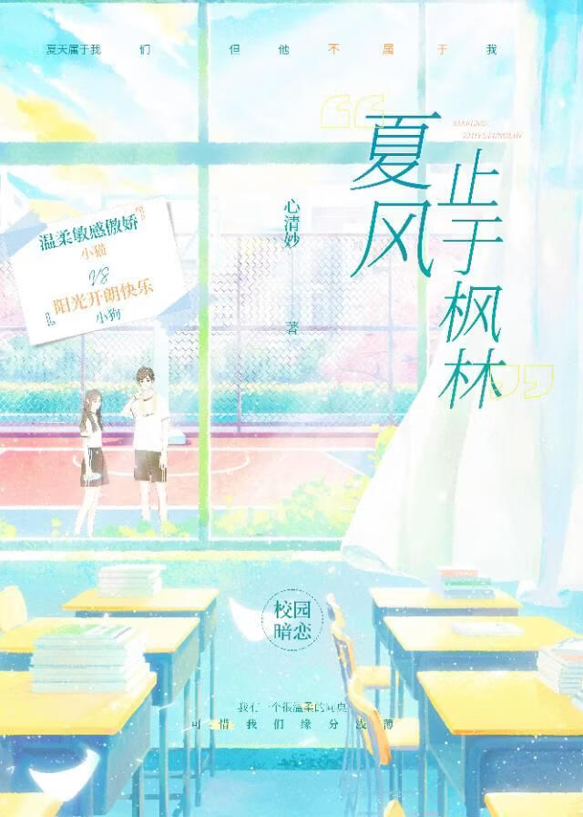夏风止于枫林小说封面