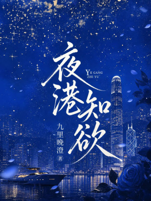 夜港知欲小说封面