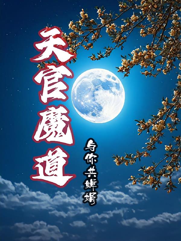 天官魔道与你共婵娟小说封面