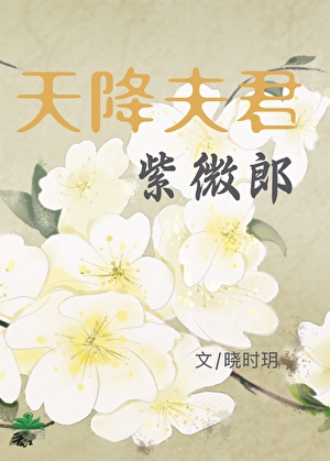 天降夫君紫微郎小说封面