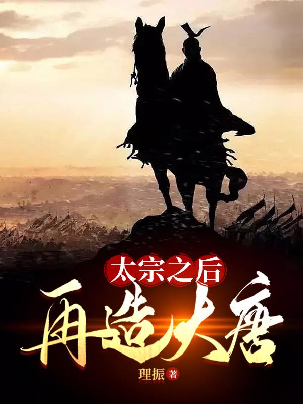 太宗之后，再造大唐小说封面