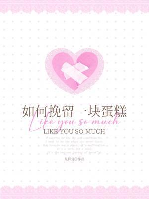 如何挽留一块蛋糕小说封面