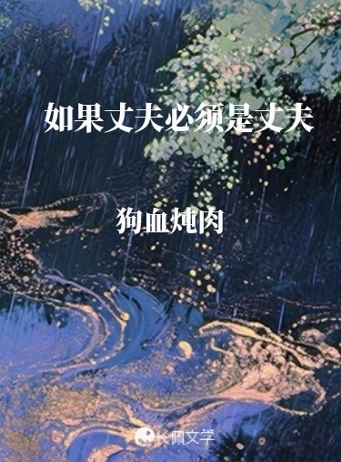 如果丈夫必须是丈夫小说封面