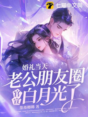 婚礼当天,老公朋友圈官宣白月光了小说封面