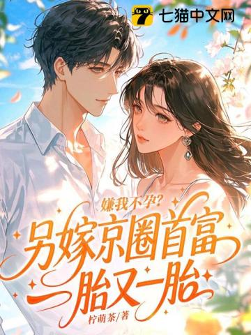 嫌我不孕？另嫁京圈首富一胎又一胎小说封面