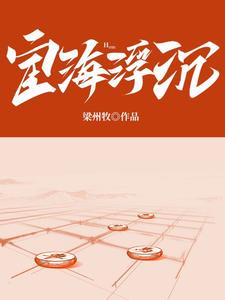 宦海浮沉【官媛】小说封面