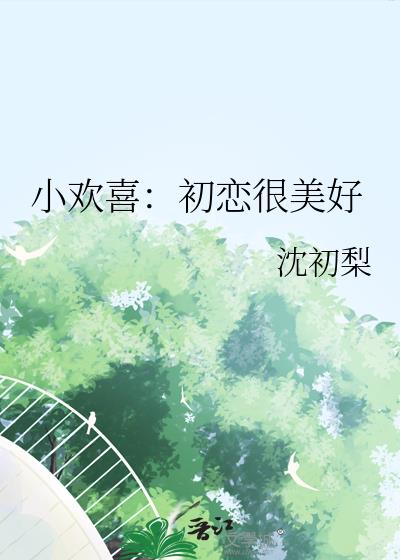 小欢喜：初恋很美好小说封面