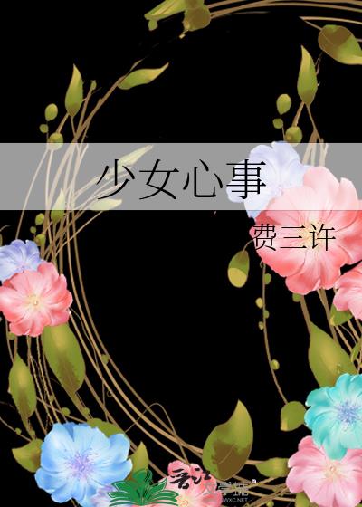 少女心事小说封面