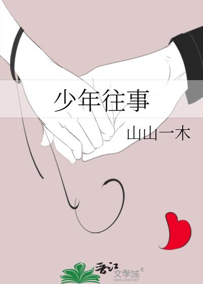 少年往事小说封面