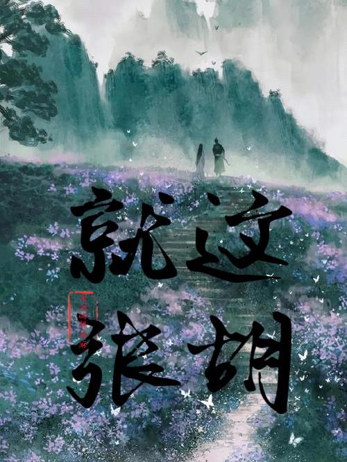 就这张胡小说封面