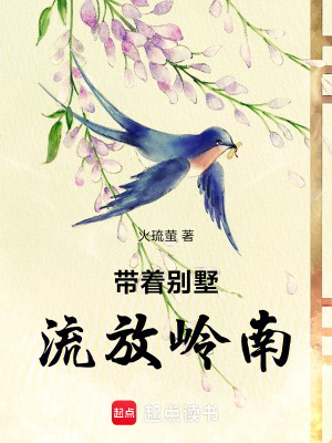 带着别墅，流放岭南小说封面