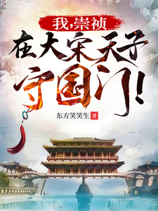 我，崇祯，在大宋天子守国门！（崇祯穿宋：天子守国门，大宋不怂、烈宋）小说封面