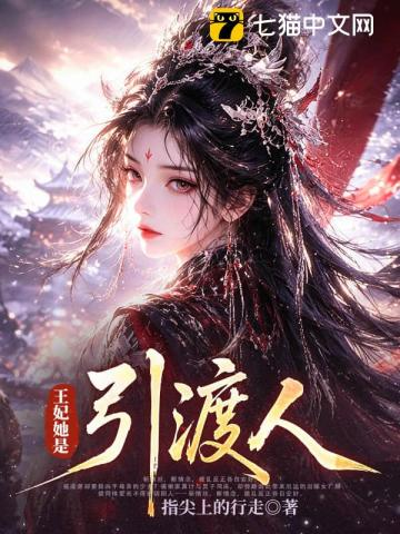 王妃她是引渡人小说封面