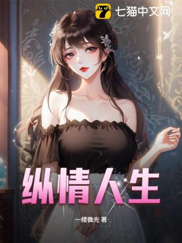 纵情人生小说封面