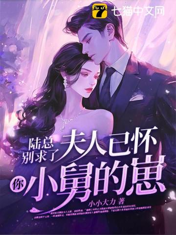陆总别求了，夫人已被宠上天小说封面