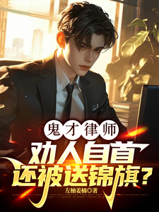 鬼才律师：劝人自首还被送锦旗？（把法院告上法庭，你说这是律师？）小说封面