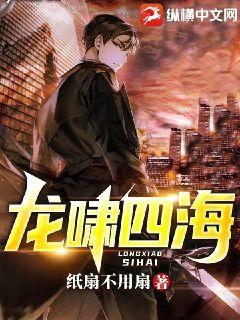 龙啸四海小说封面